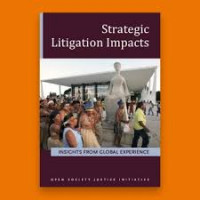 Strategic Litigation Impacts